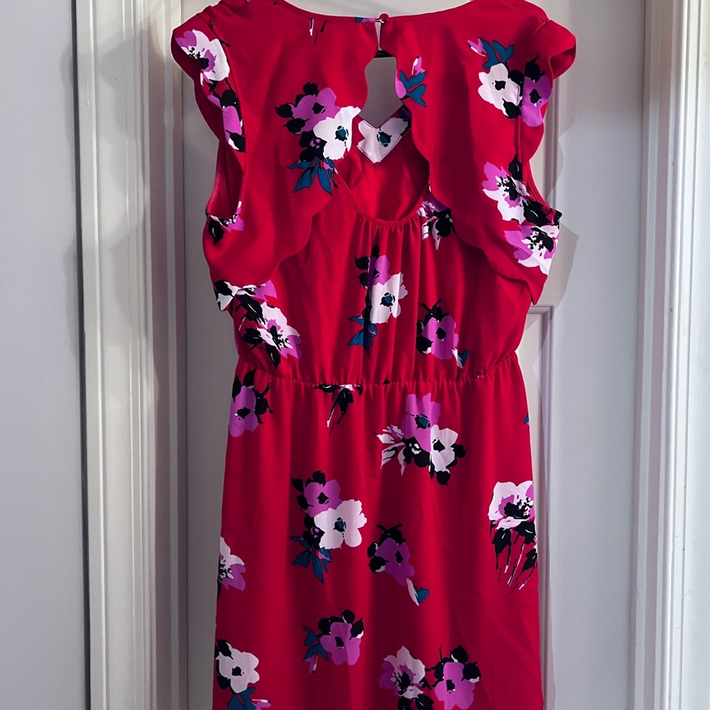 41 Hawthorn Red and Pink Floral Dress